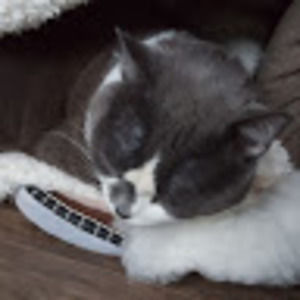 Meet your Posher, Basia